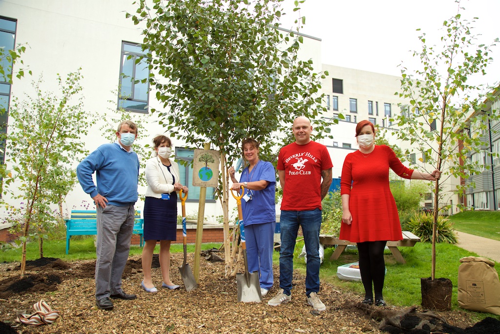 “Bugs, bees and native trees” project beds down in St James’s Hospital
